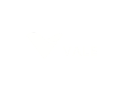 Home 85 Logo Vale